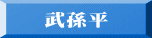 武孫平