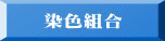 染色組合 