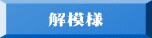 解模様