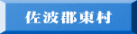 佐波郡東村